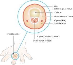 Hilary Strickland - Design, Illustration, Medical Illustration, Bath
